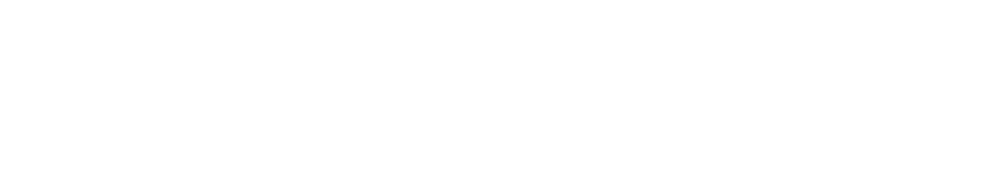 AVA TRAILS logo